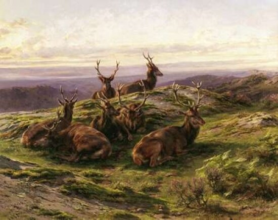 Stags at Rose Poster Print by  Rosa Bonheur - Item # VARPDX281744