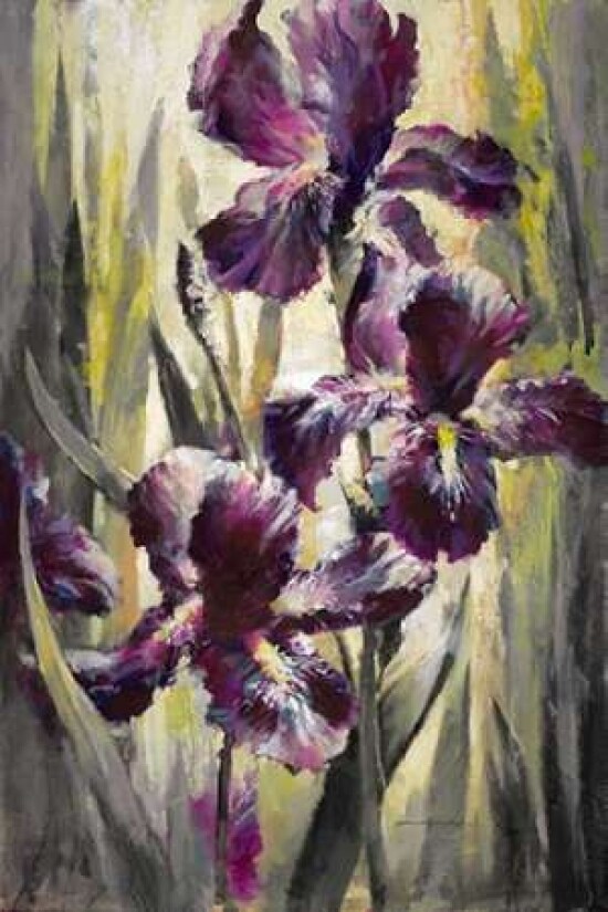 Ambient Iris 1 Poster Print by Brent Heighton - Item # VARPDX222HEI1107