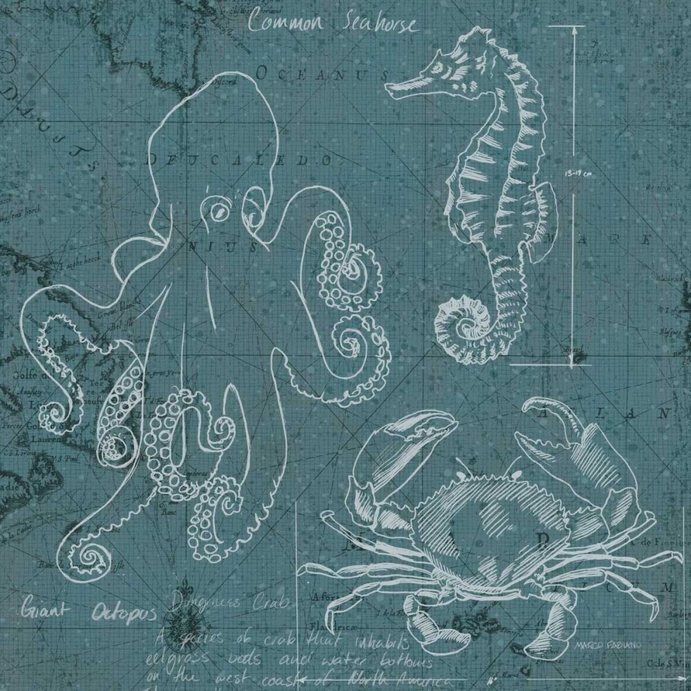 Coastal Blueprint II Poster Print by Marco Fabiano - Item # VARPDX14062