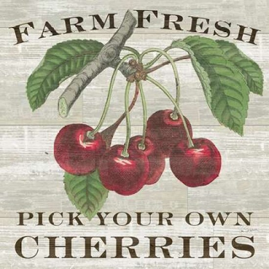 Farm Fresh Cherries Poster Print by Sue Schlabach - Item # VARPDX22659