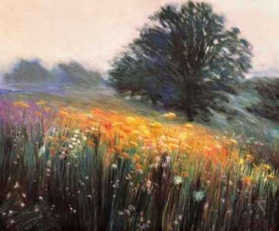Misty Morning III Poster Print by Jon R. Friedman - Item # VARPDXFJP700