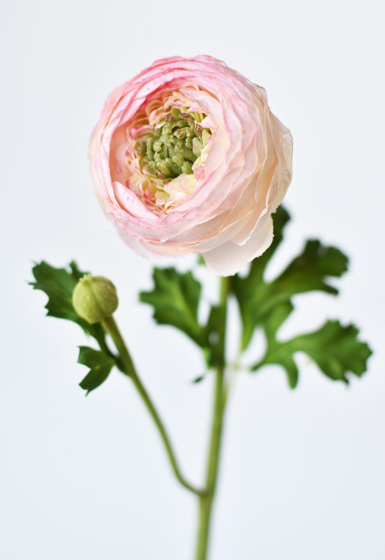 13&#x22; Faux Blush Ranunculus Stem
