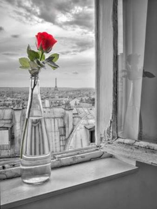 Flower vase on window with Eiffle tower in background, Paris Poster Print by Assaf Frank - Item # VARPDXAF20140919078XPC03