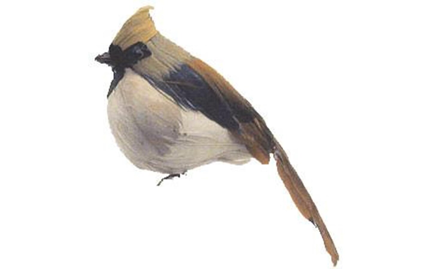 AD Fthr Fat Female Cardinal 5&#x22; 1pc