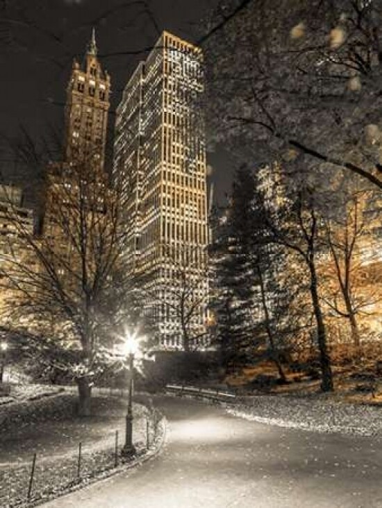 Evening view of Central Park in New York City Poster Print by  Assaf Frank - Item # VARPDXAF201311191691C01