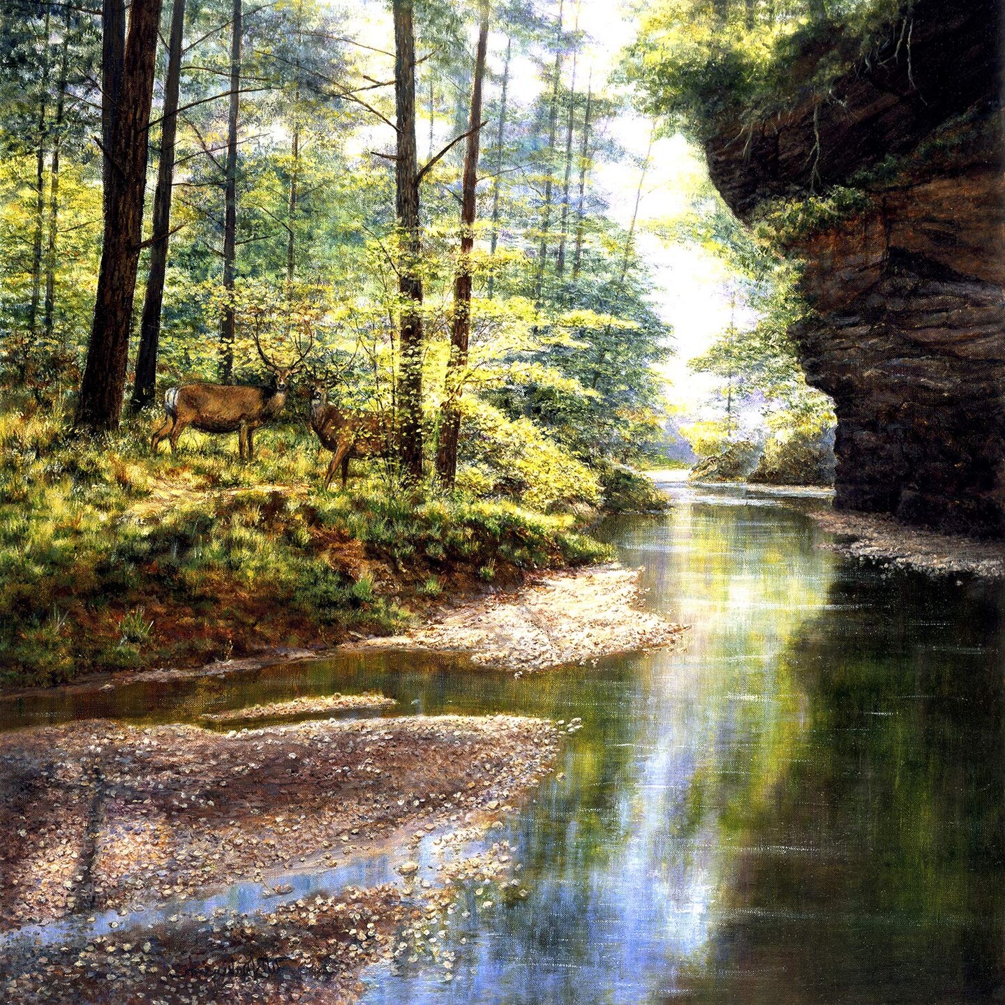 Sunsout Quiet Forest 1000 pc   Jigsaw Puzzle 44720