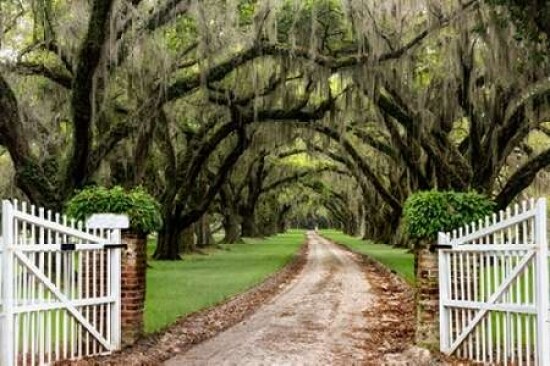 Plantation Road Poster Print by  Daniel Burt - Item # VARPDXB3330D