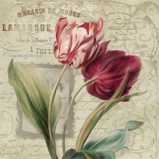 French Tulips I Poster Print by Carol Robinson - Item # VARPDX15281