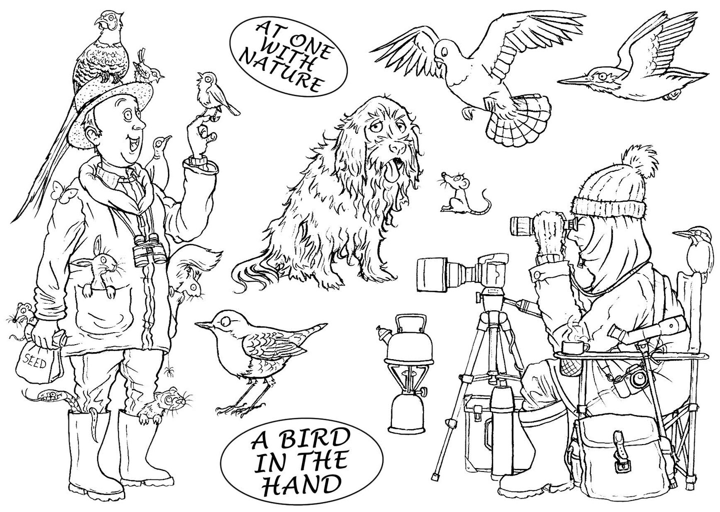 The Card Hut Clear Stamps 4"X6" By Mark Bardsley-Great Outdoors - A Bird In The Hand