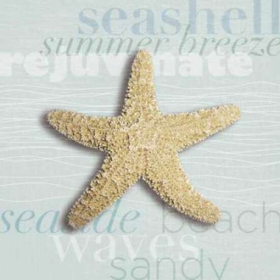 Beach Collection II Poster Print by Tandi Venter - Item # VARPDX18145