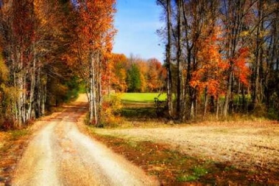 Late Virginia Autumn Poster Print by Alan Hausenflock - Item # VARPDXPSHSF1723