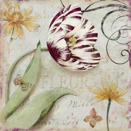 Tulipa I Poster Print by Aimee Wilson