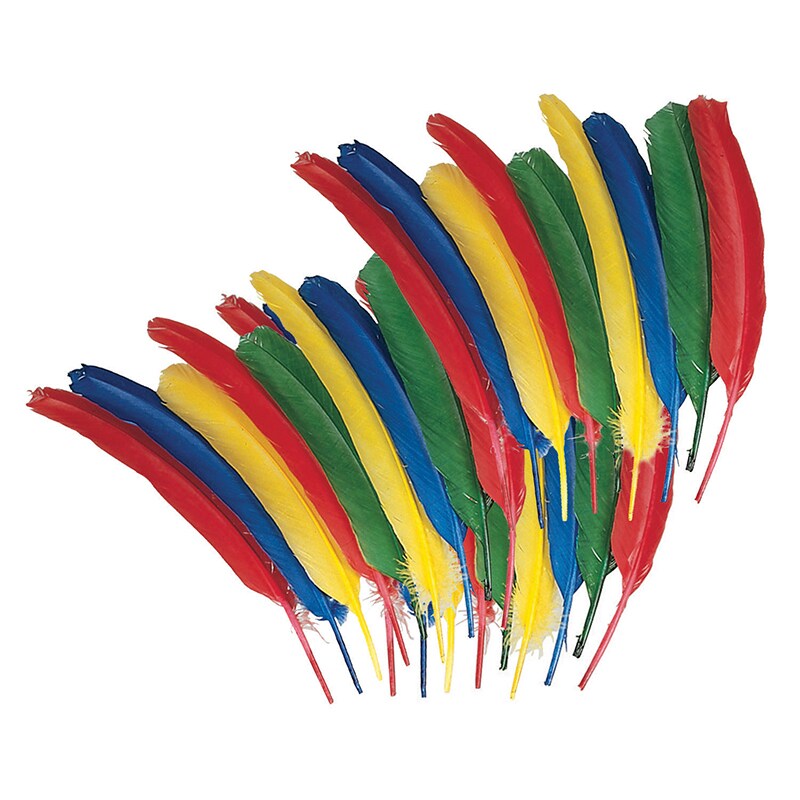 Quill Feathers, Assorted Colors, 12&#x22;, 24 Pieces