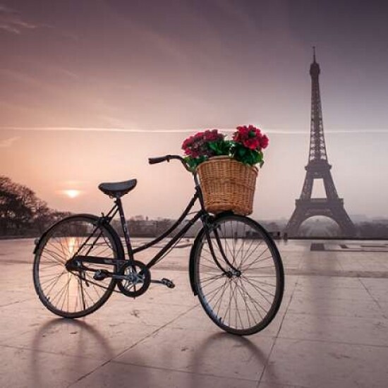 A bicycle with a basket of flowers with the Eiffel tower in the background Poster Print by  Assaf Frank - Item # VARPDXAF20120314223