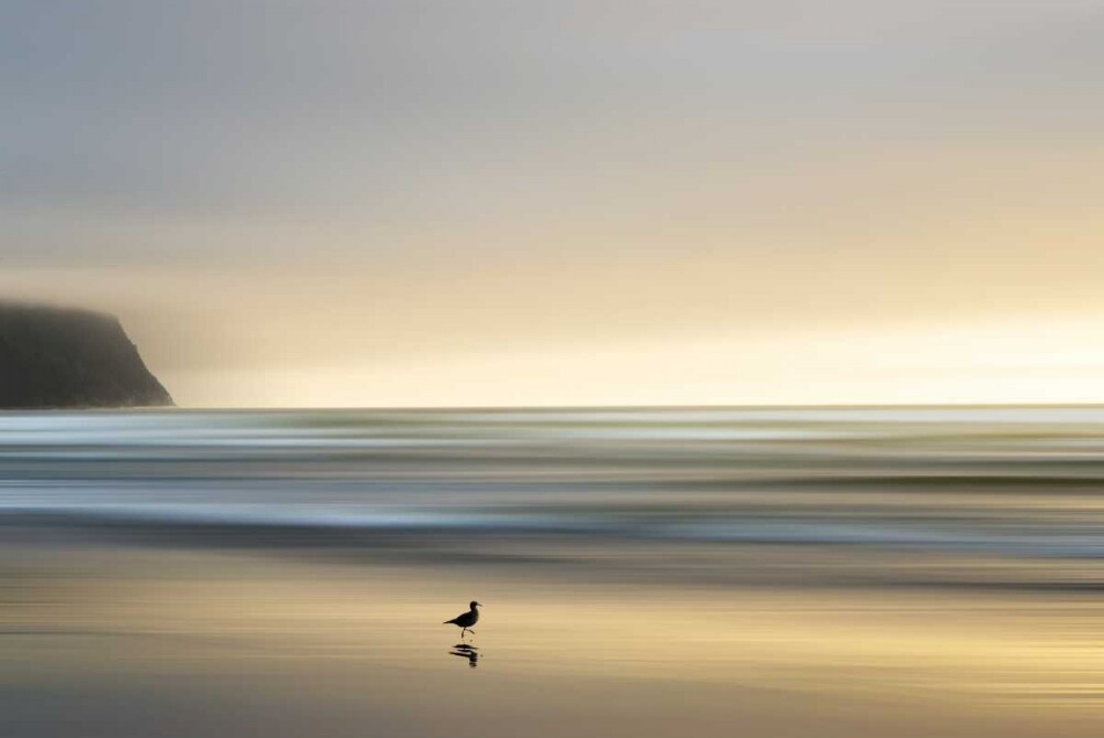 Morning Visit Poster Print by Marvin Pelkey - Item # VARPDX16244