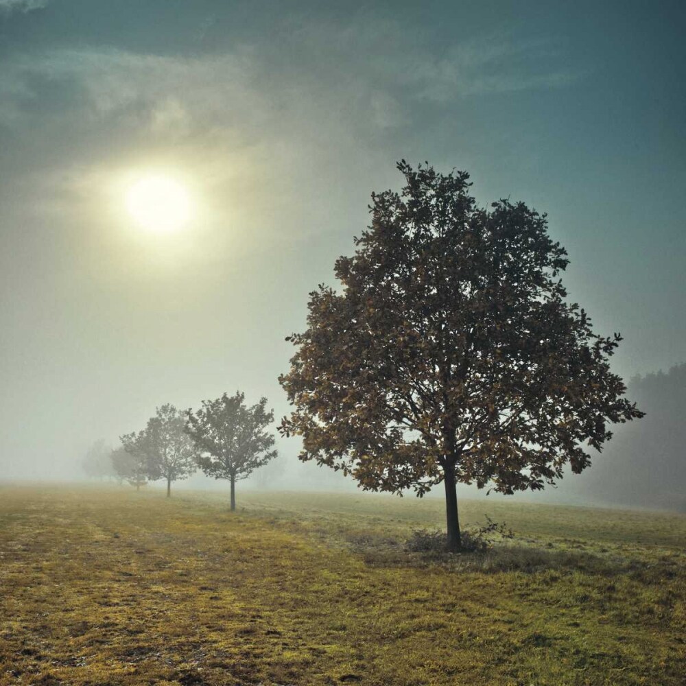 Its a New Day Poster Print by Assaf Frank - Item # VARPDX16339