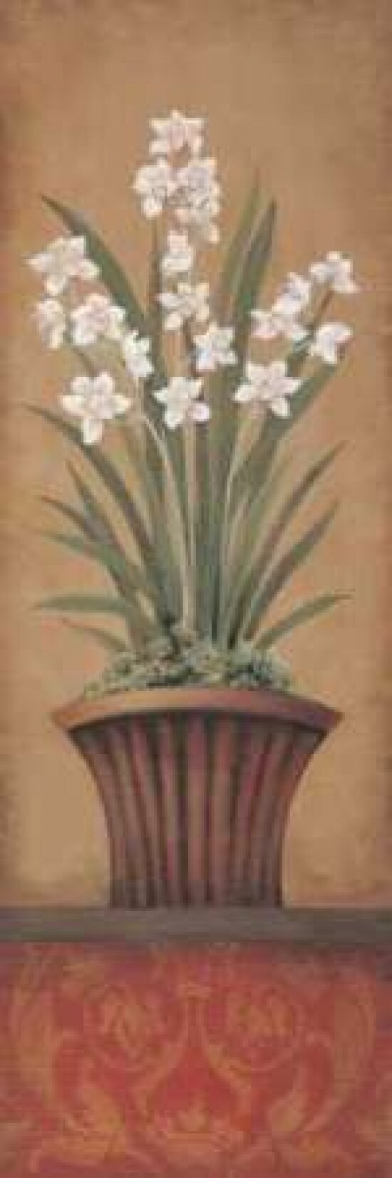 Paperwhites II Poster Print by 3 Bamboo Studio - Item # VARPDXTBS013