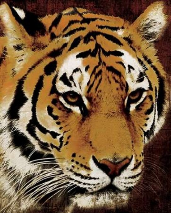 Tiger Poster Print by Jace Grey - Item # VARPDXJGRC097A