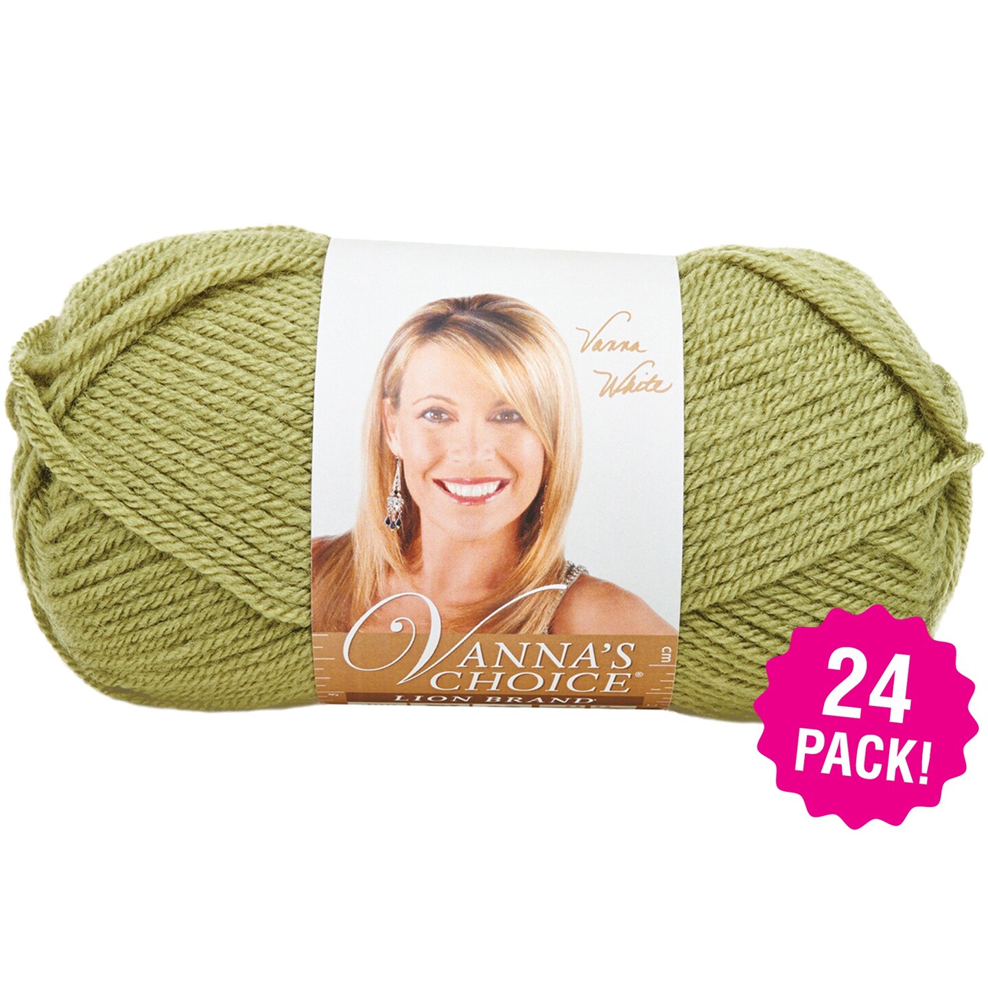 Multipack of 24 - Lion Brand Vanna&#x27;s Choice Yarn-Dusty Green