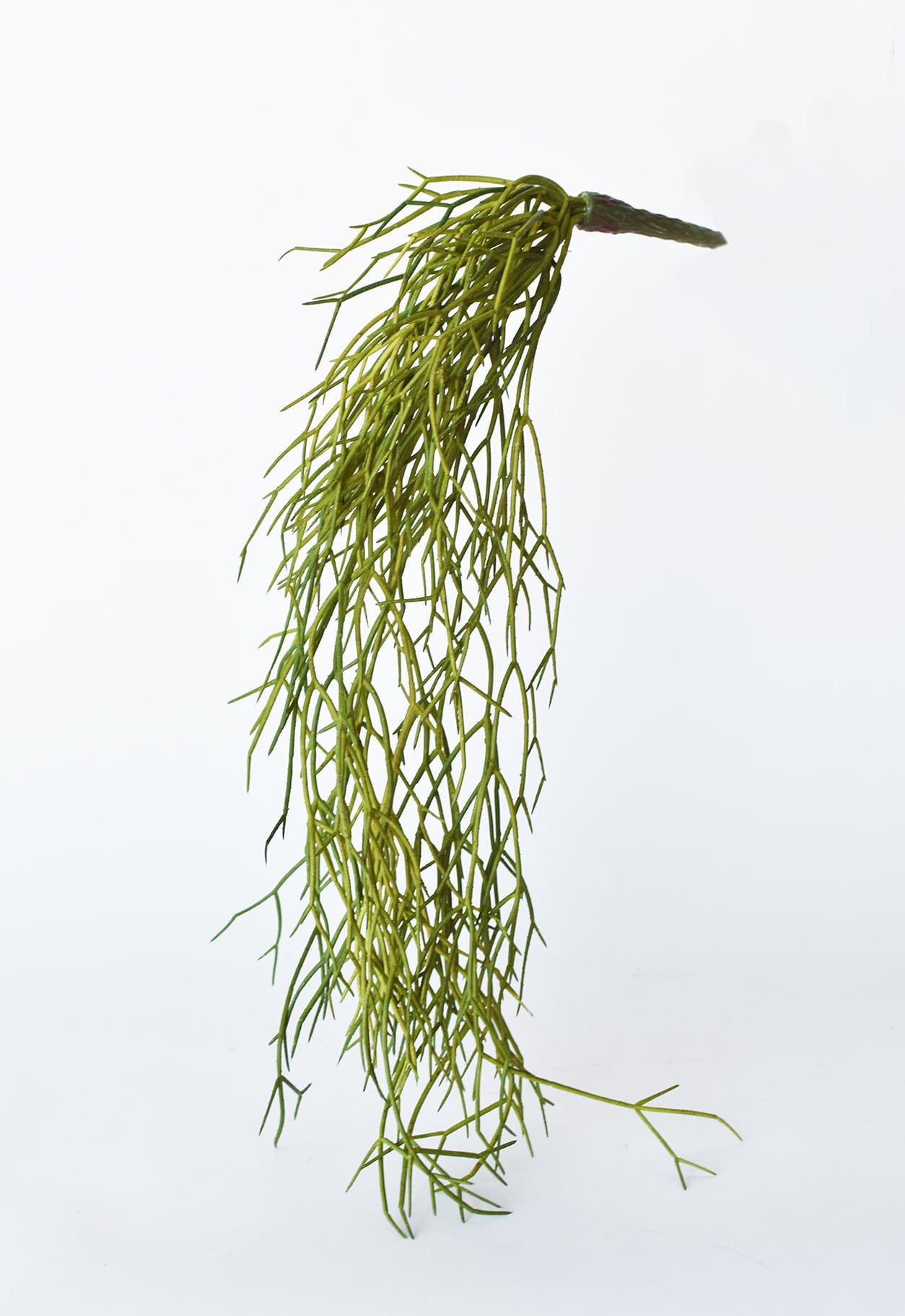 24&#x22; Faux Pencil Cactus Hanging Succulent Bush