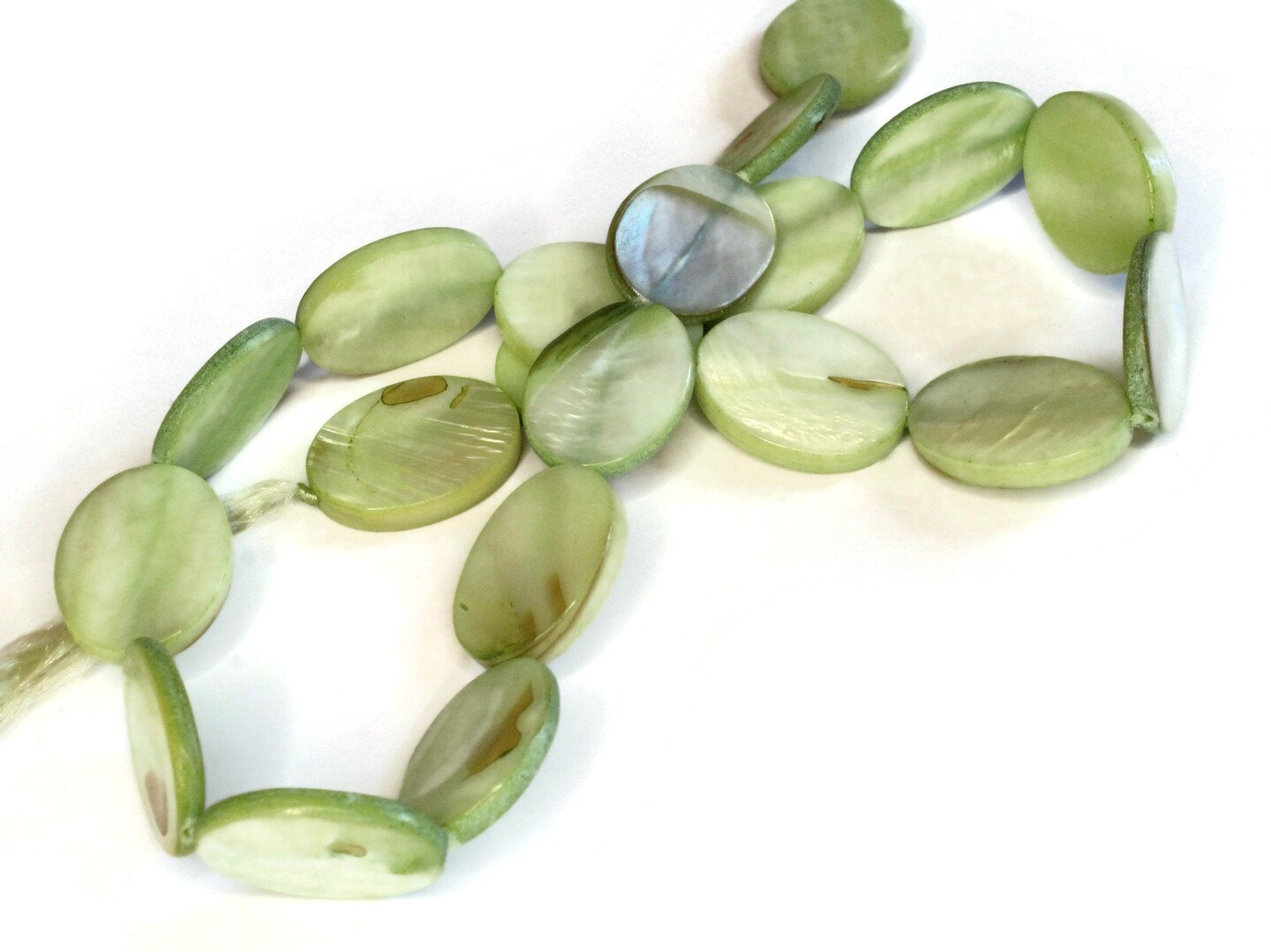 20mm Green Mother of Pearl Oval Disc Beads Dyed Shell Beads Seashell Beads