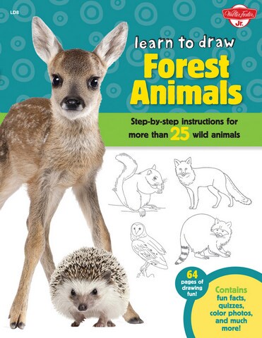 LEARN TO DRAW FOREST ANIMALS