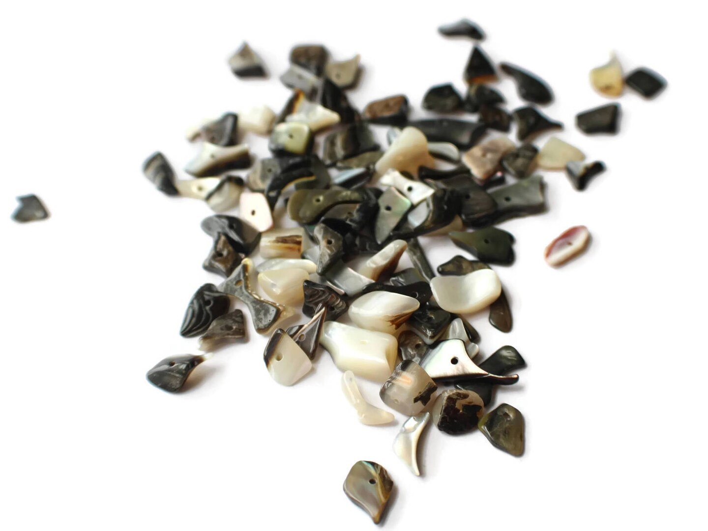 120 Black Lip Shells Bead Chips - 1 oz. Gray Nugget Sea Shell Beads