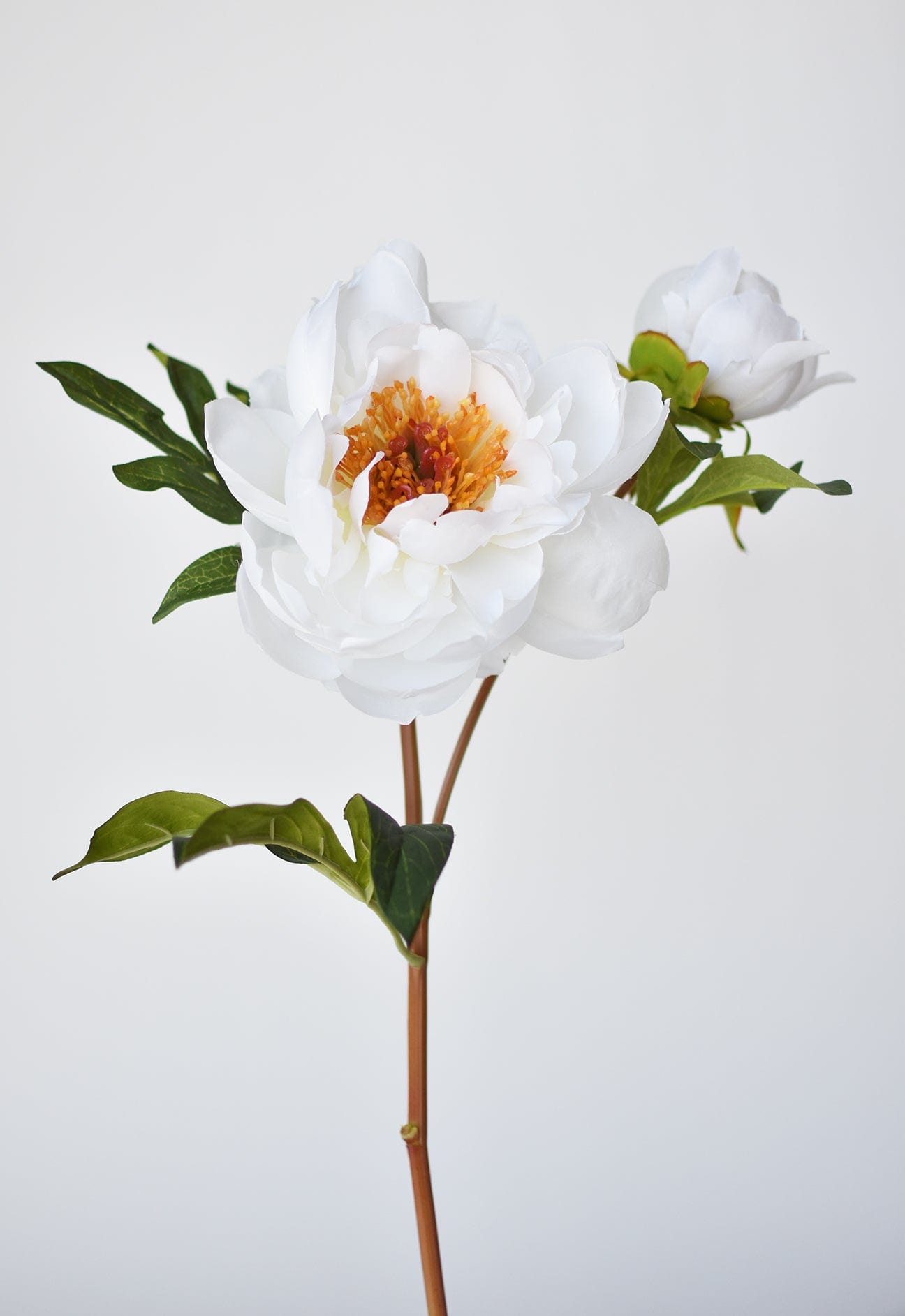 22.5" Faux Peony Stem w/Bud White Michaels