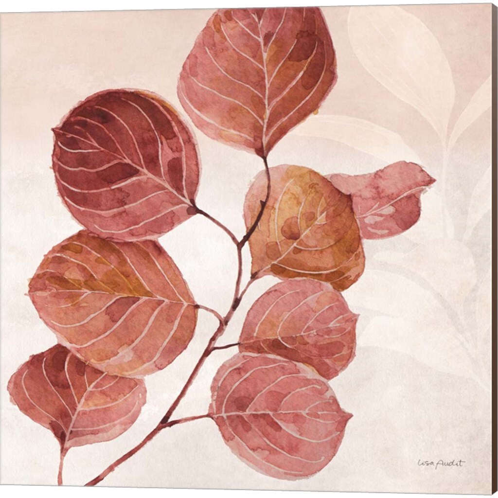 Terra A by Lisa Audit 14&#x22; x 14&#x22; Canvas Wall Art (Set of 2)