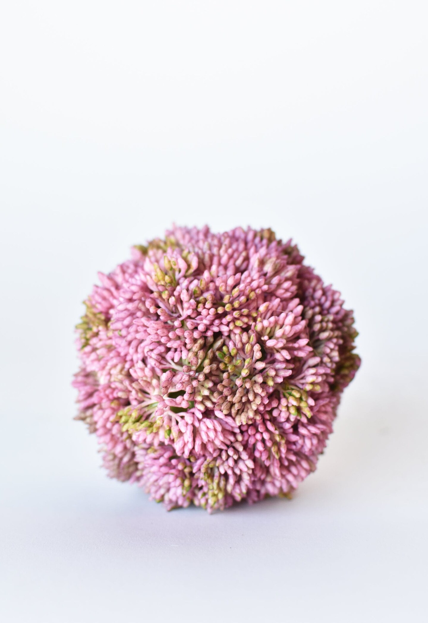 4&#x22; Faux Mauve Sedum Ball