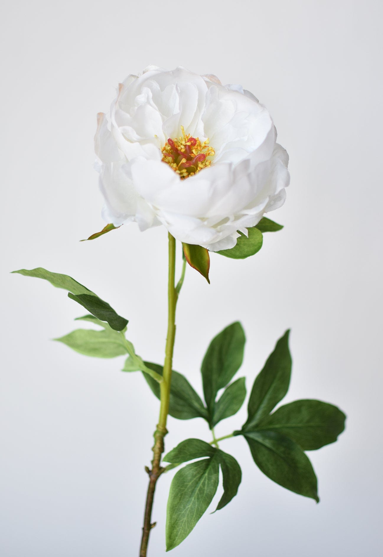 22&#x22; Faux White Peony Stem