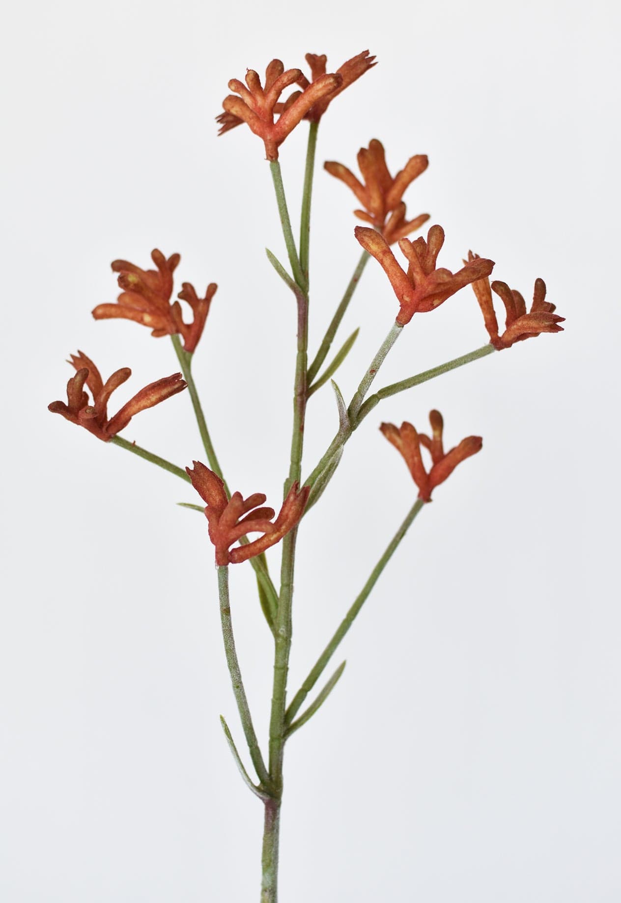 28&#x22; Faux Orange Kangaroo Paw Stem