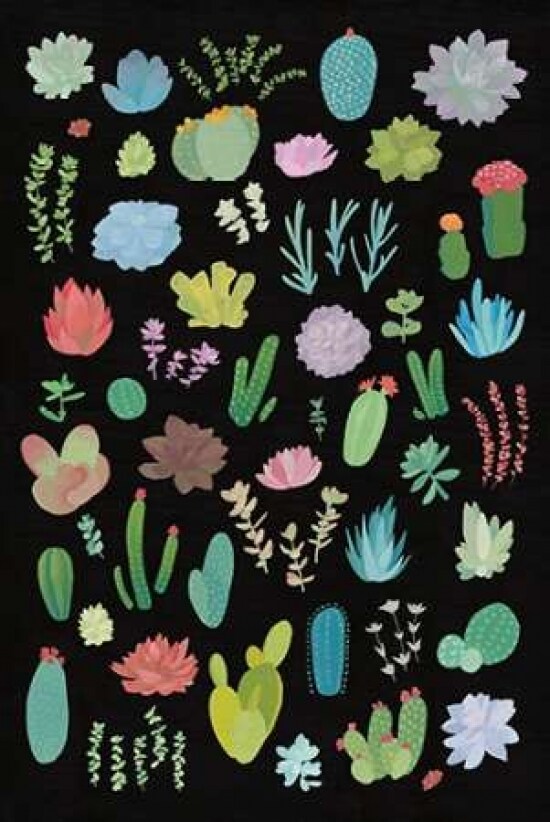 Succulent Chart I Poster Print by  Wild Apple Portfolio - Item # VARPDX18827