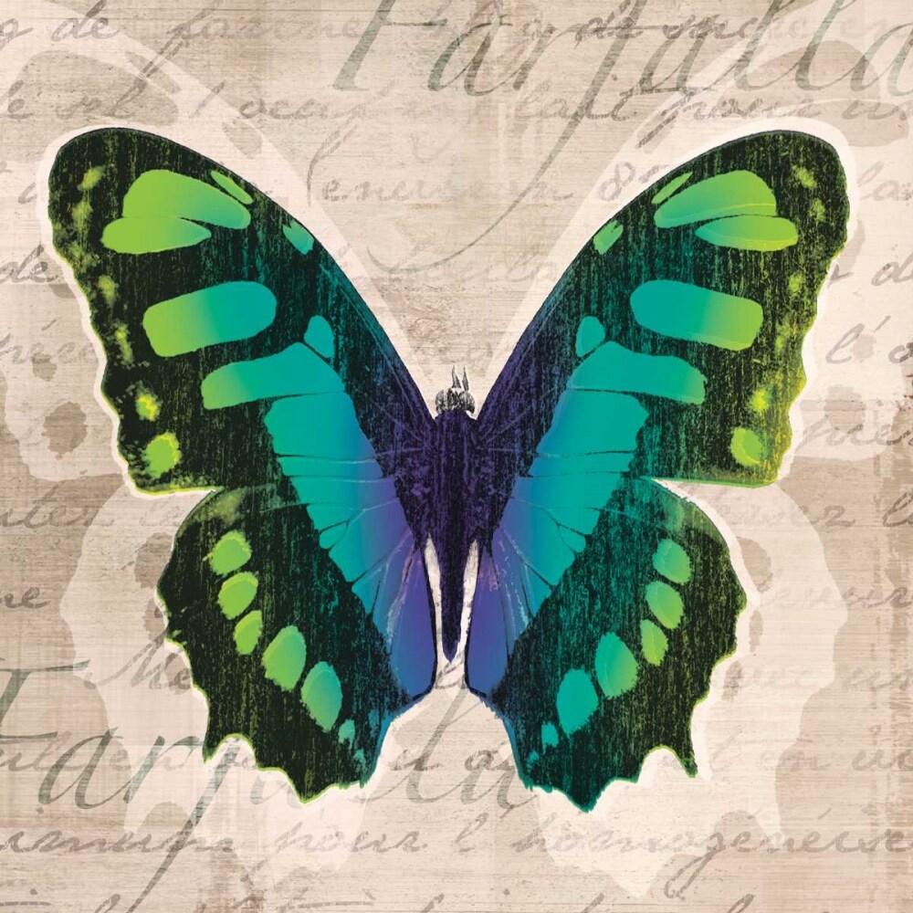 Butterflies II Poster Print by Tandi Venter - Item # VARPDX16249