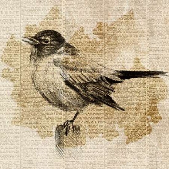 Bird Study II Poster Print by Lanie Loreth - Item # VARPDX9550N