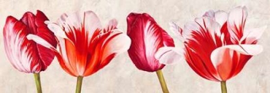Gioiosi tulipani Poster Print by Luca Villa - Item # VARPDX4LC2853