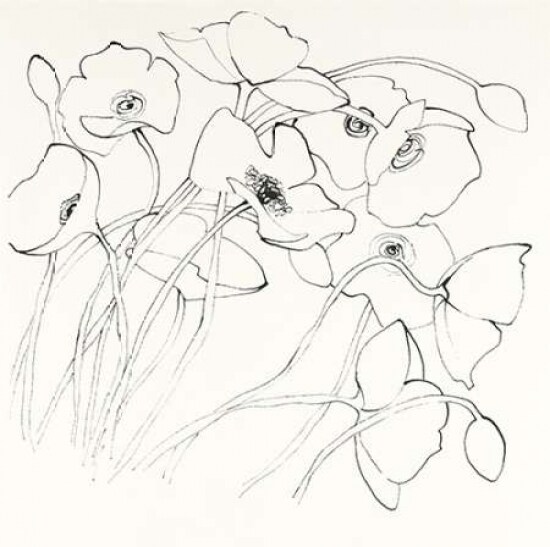 Black Line Poppies II Poster Print by Shirley Novak - Item # VARPDX23668