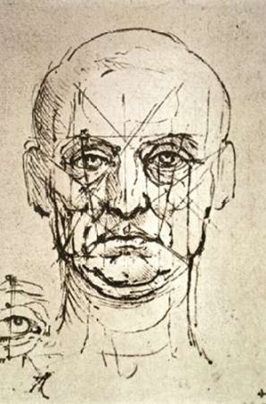 Proportions of the Face Poster Print by Leonardo Da Vinci - Item # VARPDX281941