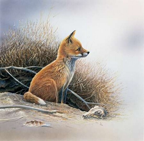 Little fox Poster Print by Jan Weenink - Item # VARPDXJW2005038