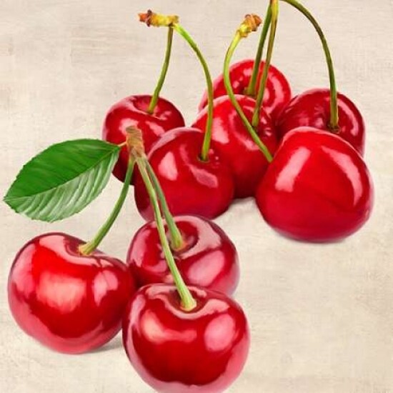 Cherries Poster Print by Remo Barbieri - Item # VARPDX1RM2656