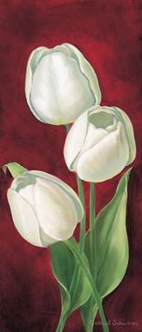 Tulips on burdundy I Poster Print by  Gertrud Schweser - Item # VARPDXMLV260