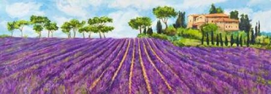 Campagna provenzale Poster Print by Massimo Germani - Item # VARPDX4GM2978