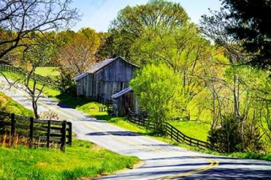 Winding Road Poster Print by Alan Hausenflock - Item # VARPDXPSHSF1732