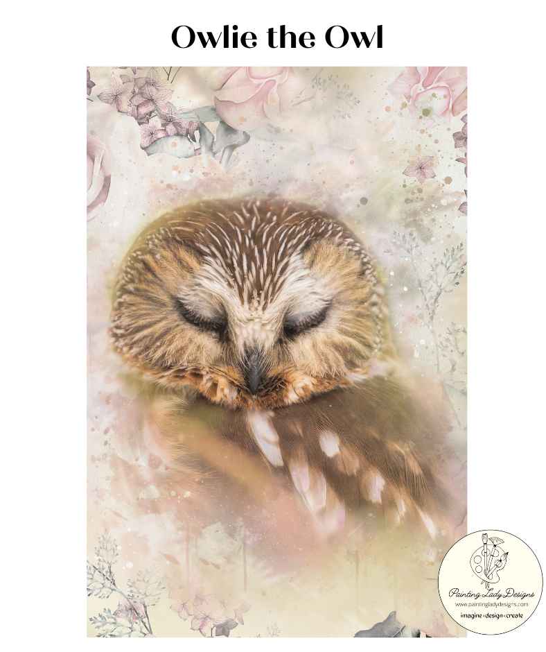 Owlie the Owl - Decoupage &#x26; Mixed Media Art Paper (small)
