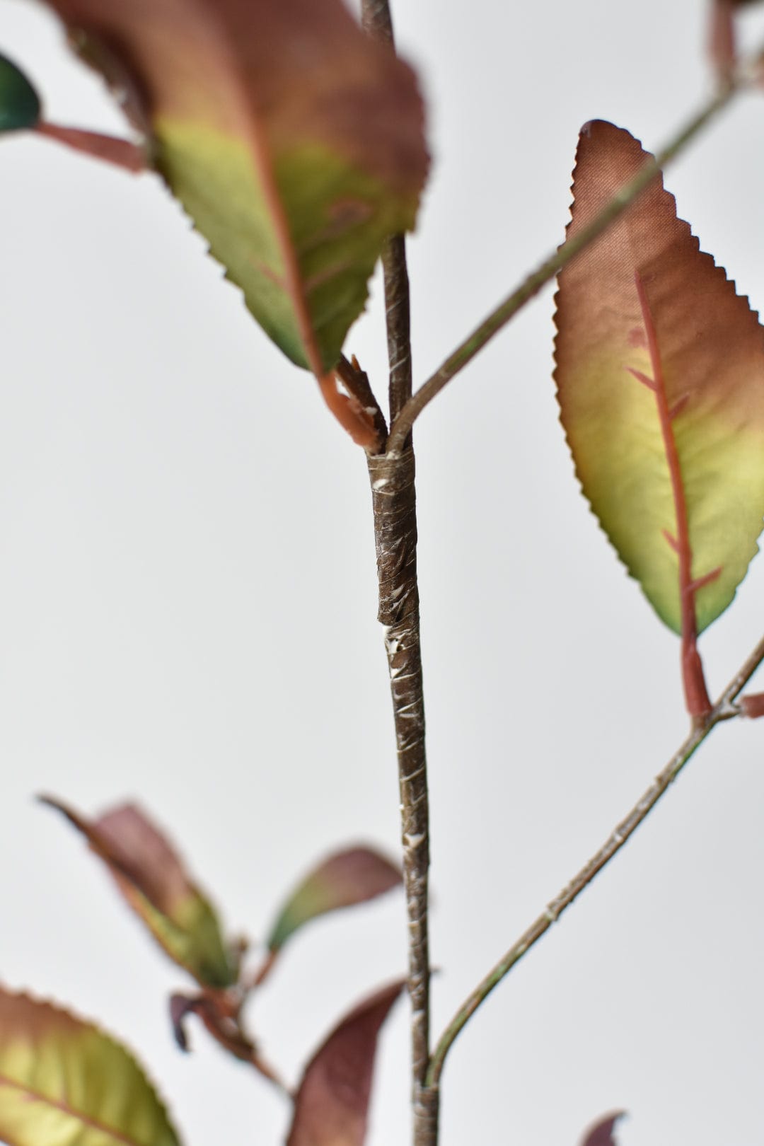 48&#x22; Faux Dried Chokeberry Fall Foliage Stem - Dried Eggplant Brown