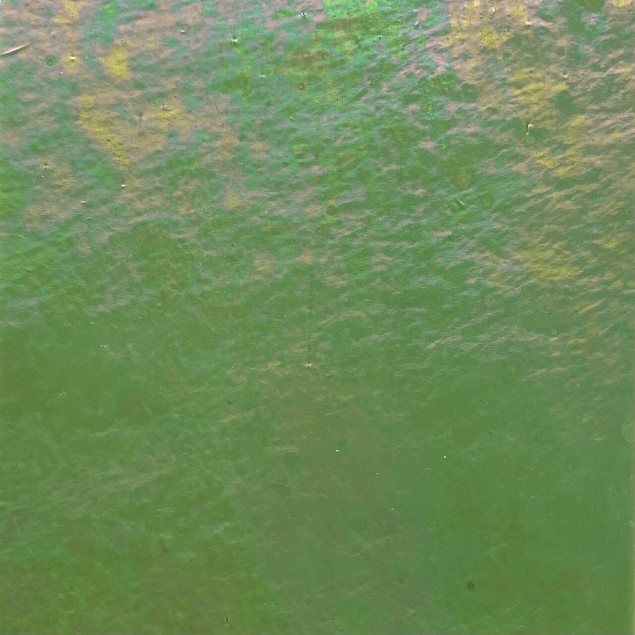 Wissmach COE 96-07LUM Olive Green Luminescent Fusible Glass Sheet