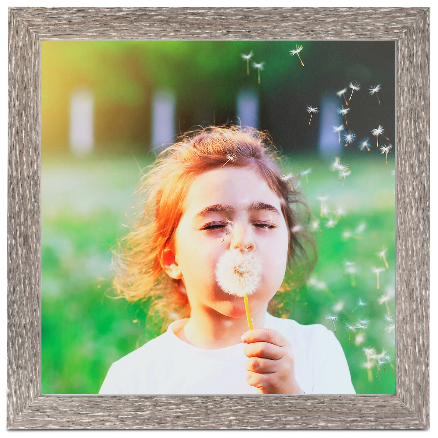 ArtToFrames 24x30 Inch Modern Picture Frame, Multi Pack, Comes with Economy Acrylic (WOMPack-46-24x30)