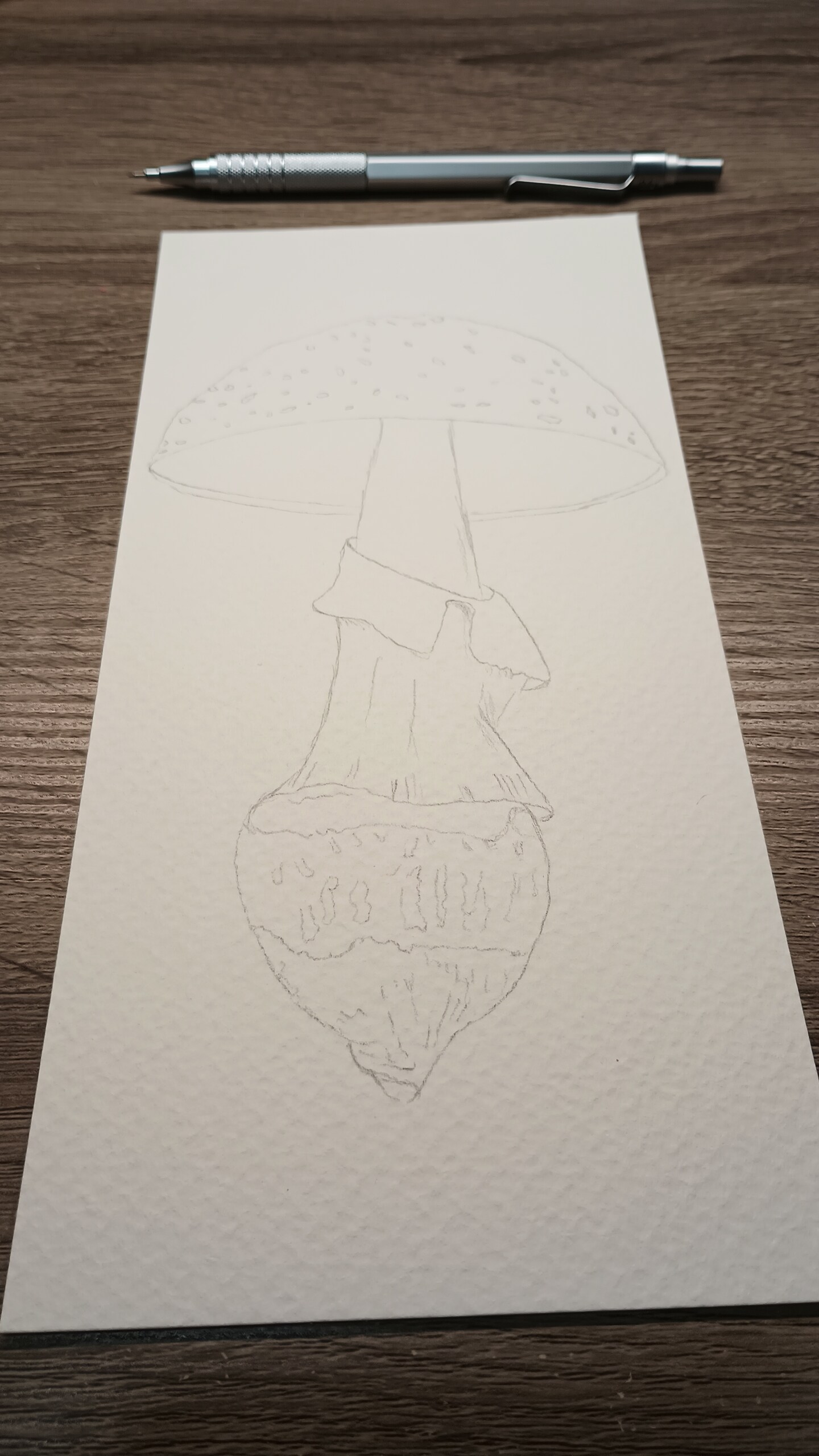 How to transfer a sketch to watercolor paper image 4