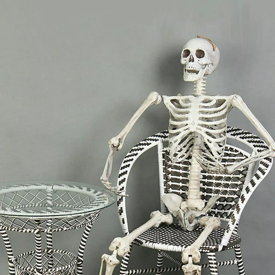 5.6Ft Halloween Skeleton Full Life Size Human Skull Holiday Tricky Haunted Props