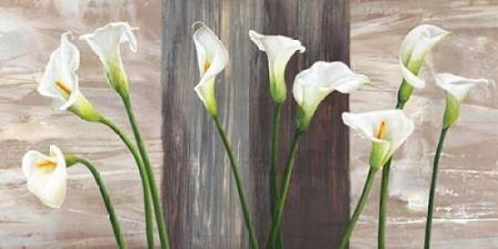 Country Callas Poster Print by Jenny Thomlinson - Item # VARPDX2JT1779